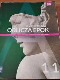 Podręcznik oblicza epok 1.1 WSiP