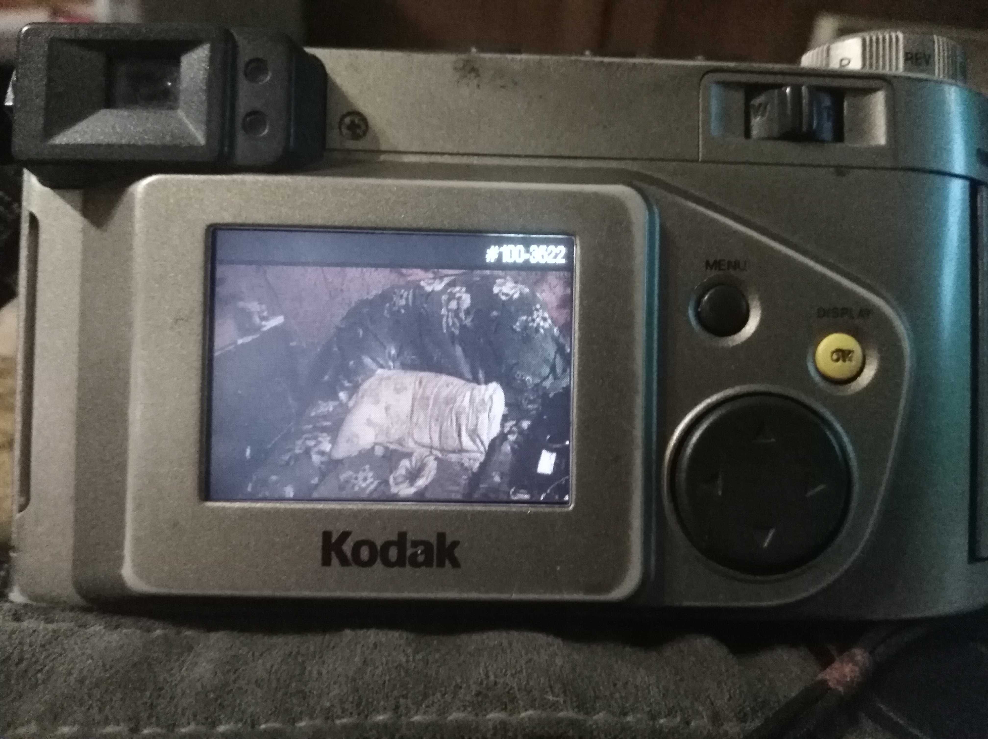 Древний цифровой фотоаппарат РАБОЧИЙ Japan dc4800 kodak digital camera