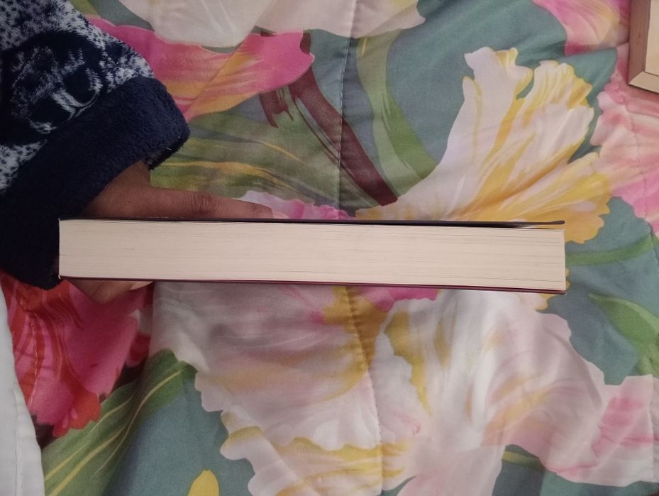 Livro Vingança — André Schuck