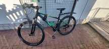 Rower Wheeler Eagle 500