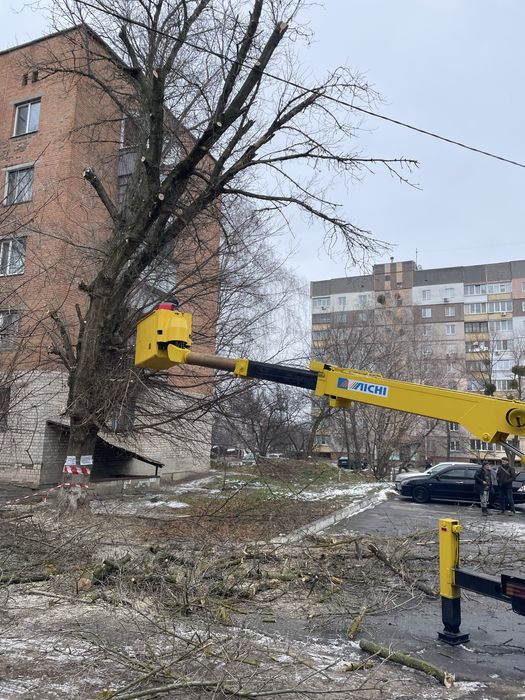 Обрезка деревьев
