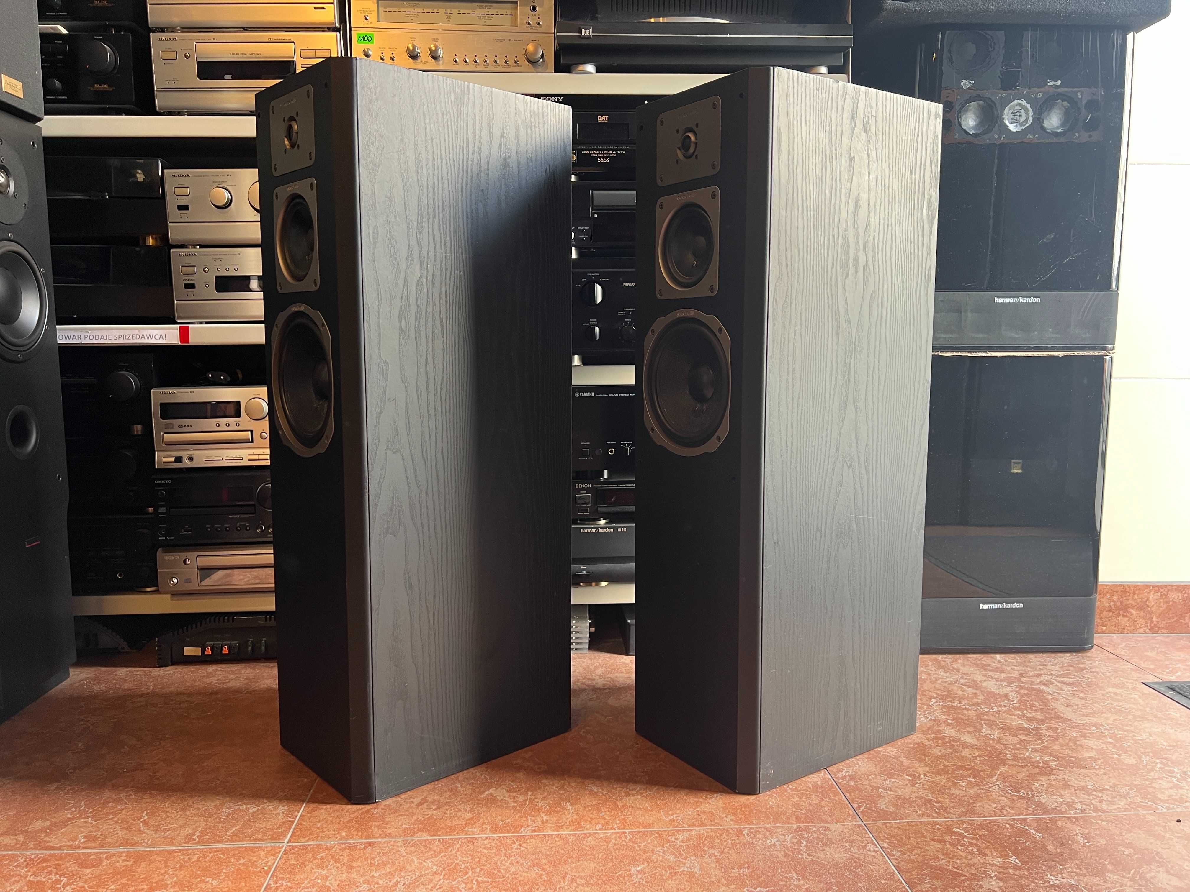 Kolumny podłogowe Quadral Monsun, Audio Room
