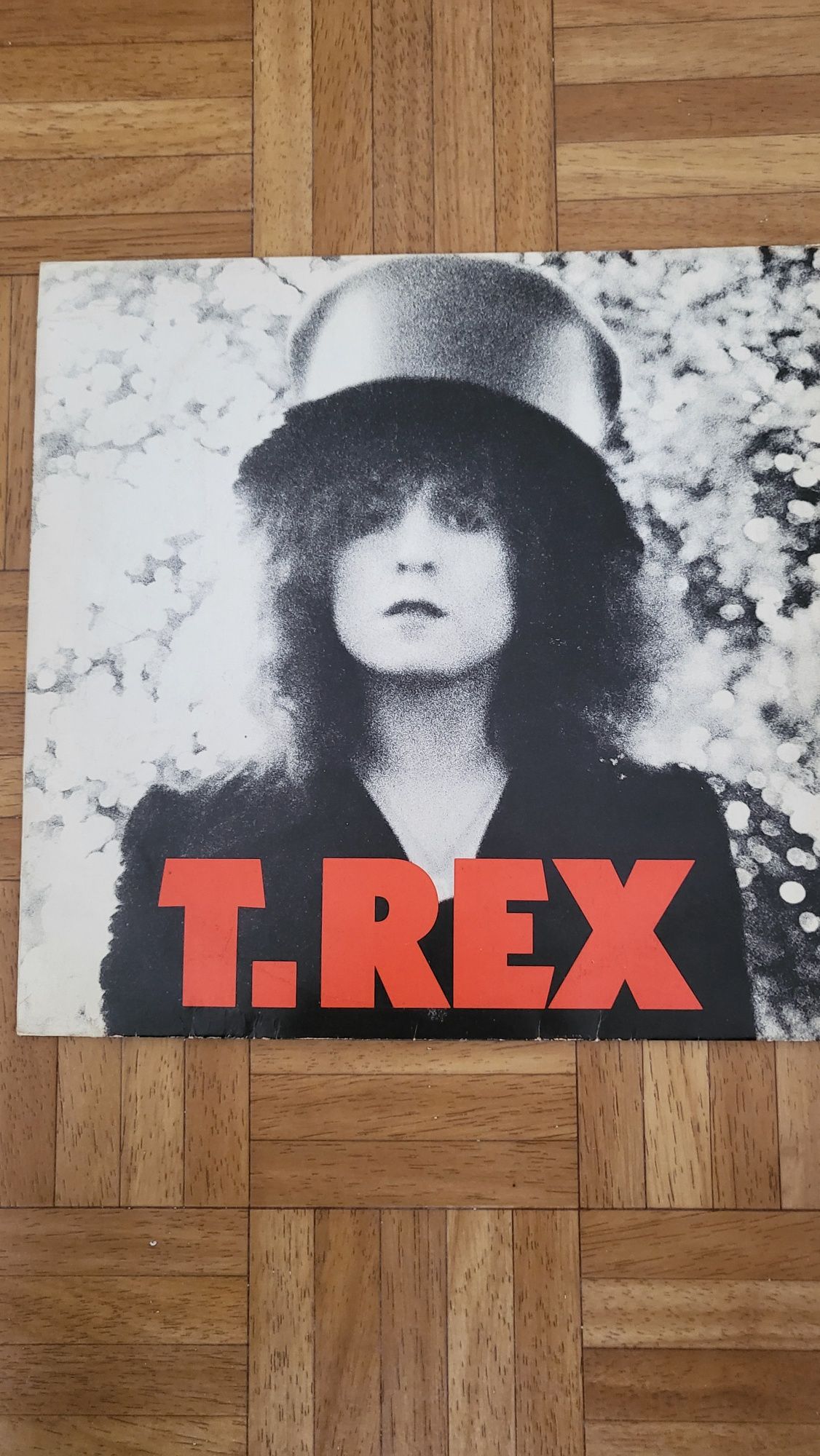 T.Rex -The Slider winyl
