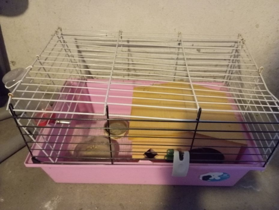 Klatka dla chomika, gryzonia