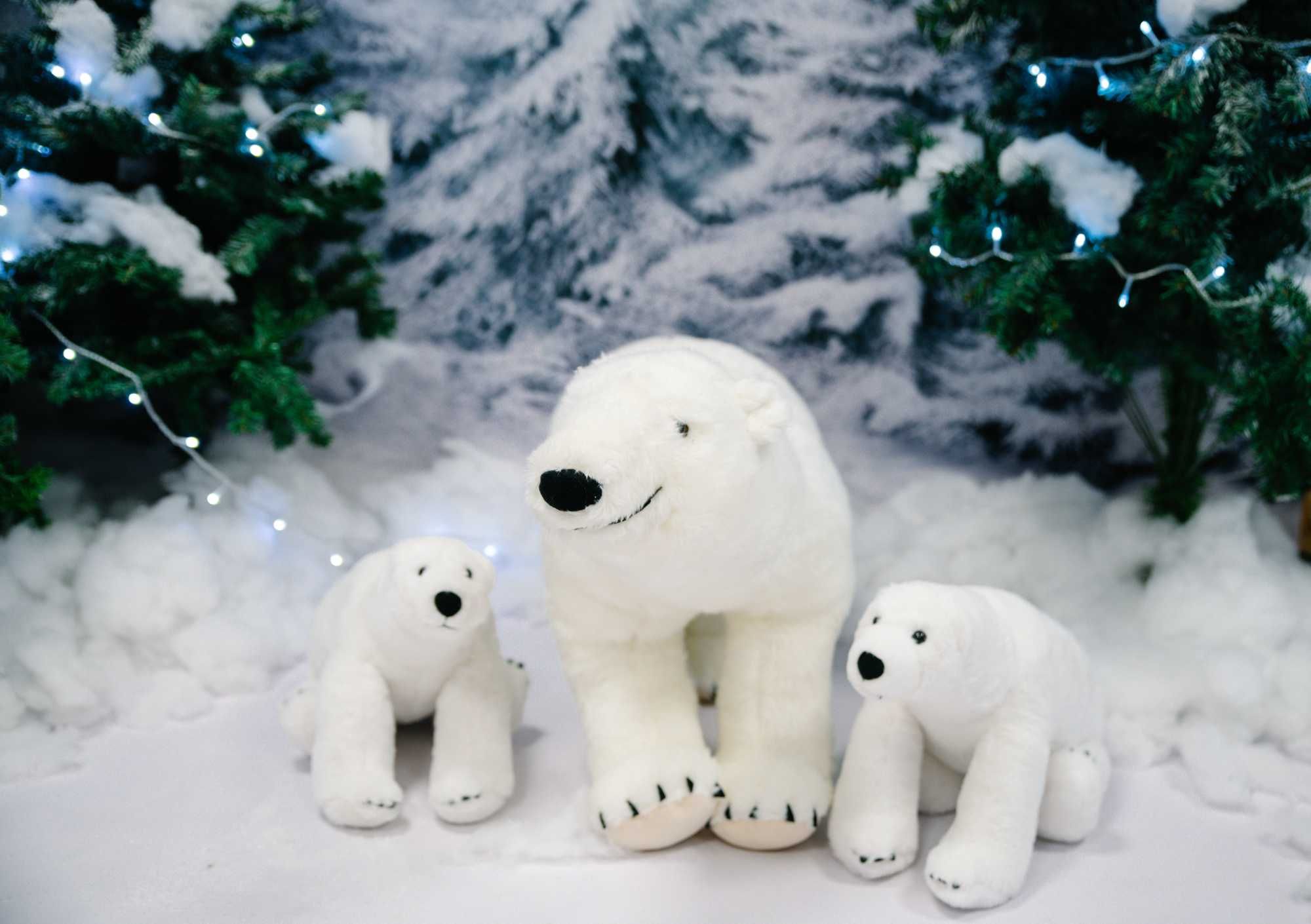 Ursos polares peluche - 86 cm x 51 cm