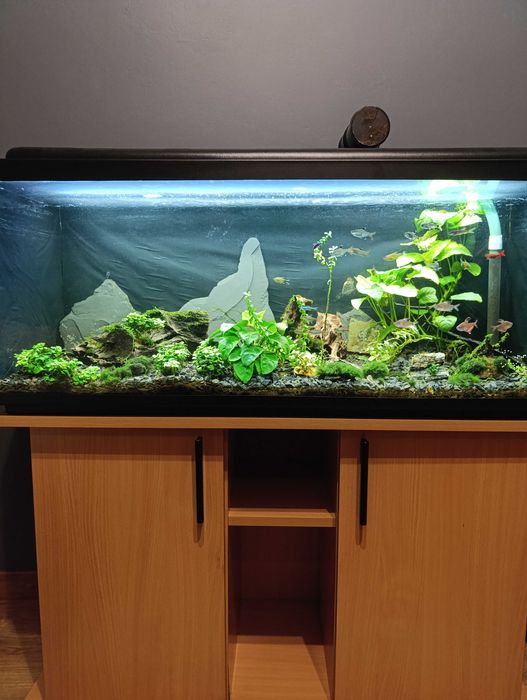 Zestaw akwarium 160 L wymiary 100x40x40