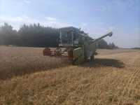 Claas dominator 56