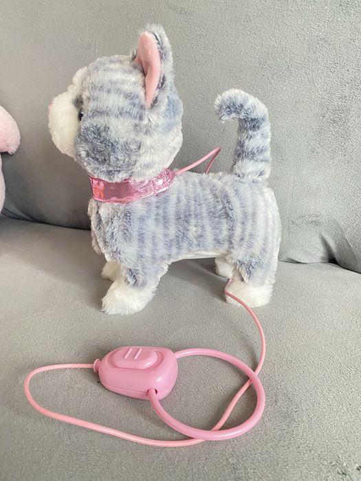 Котик на повідку