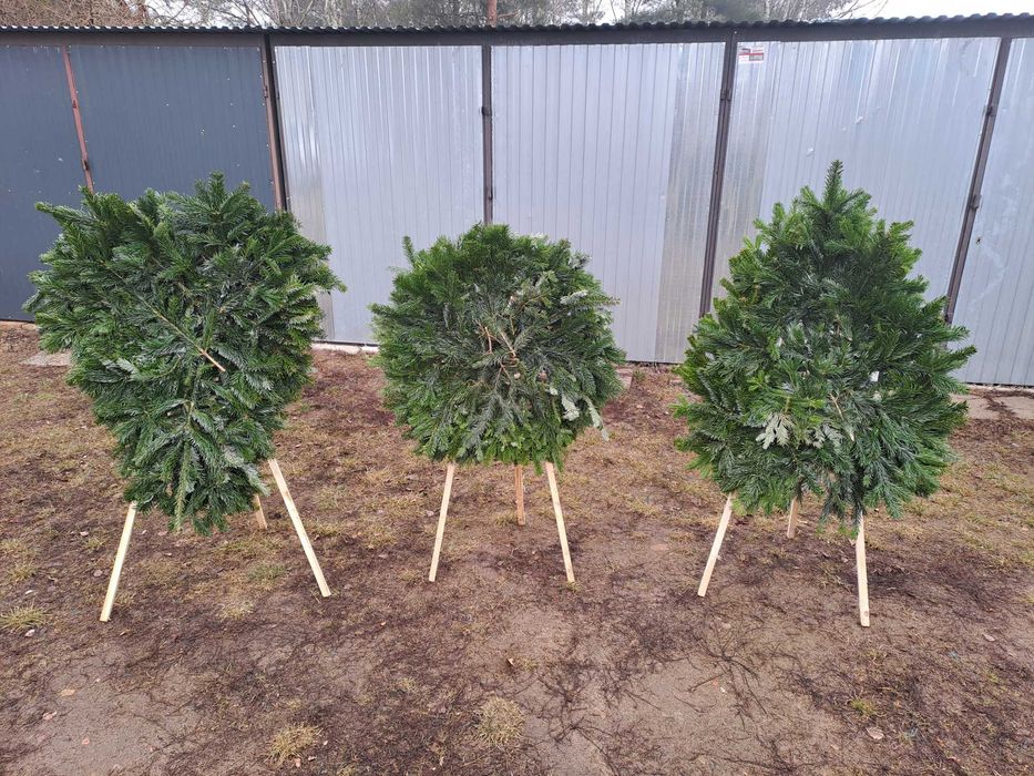 Podkłady  pod wiązanki wieńce  pogrzebowe  z żywej jodły