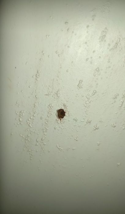 Бойлер Gorenje OTG 100л