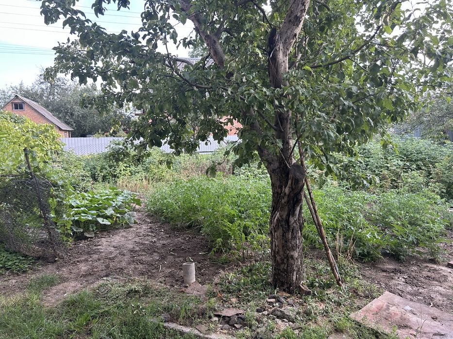 Продаж будинку в Розсощенцях