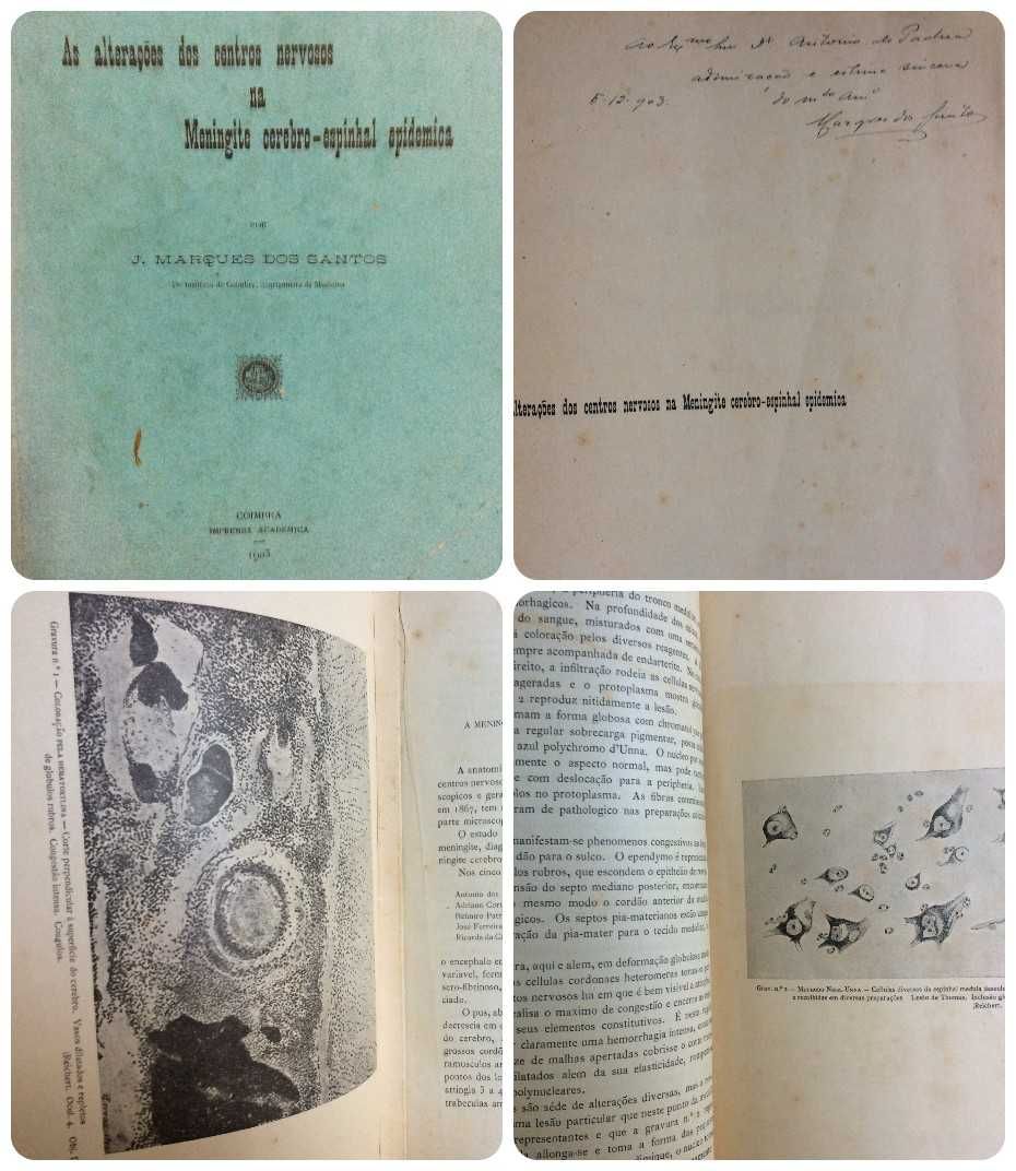 Livros com dedicatórias manuscritas pelos seus autores. Lote 2