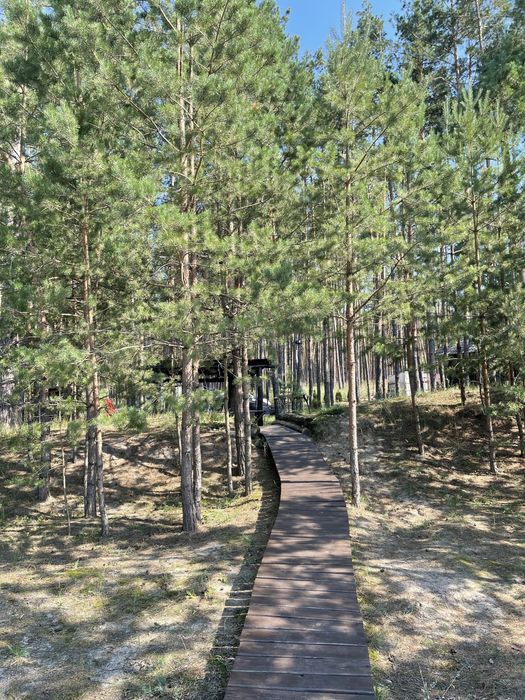 Оренда будинку в лісі біля річки з банею .