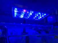 Lampa 40W do małej kostki akwarium morskie