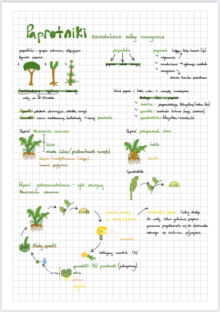 Sprzedam komplet notatek z biologii – klasa 1 i 2