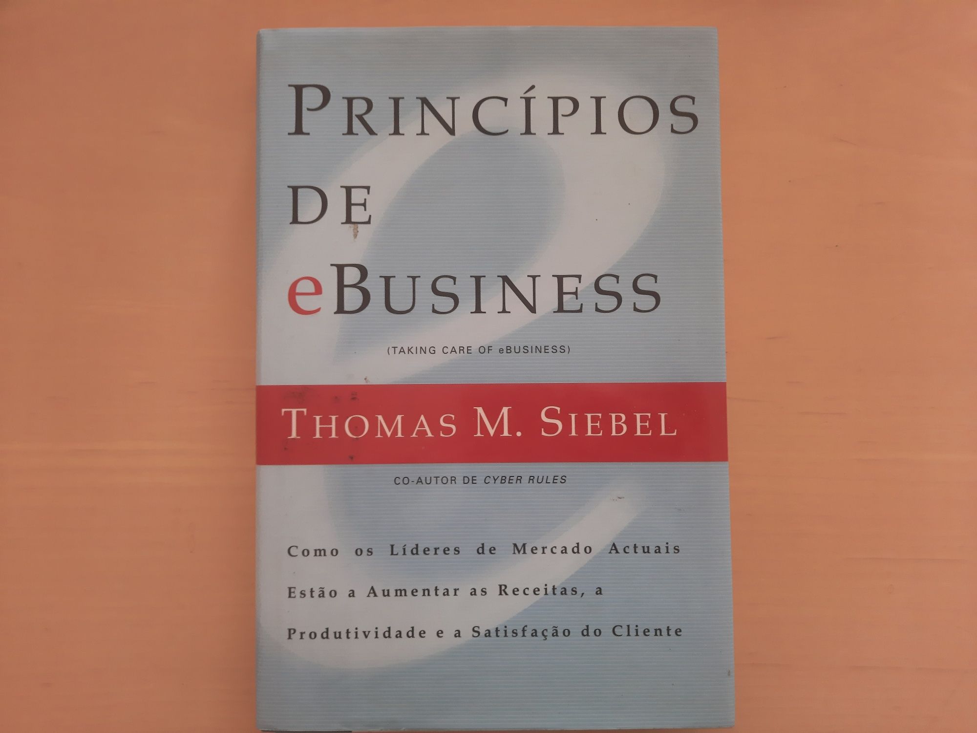 Principios de eBusiness