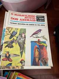 Coleção anos 70 Maravilhoso Mundo dos Animais completa