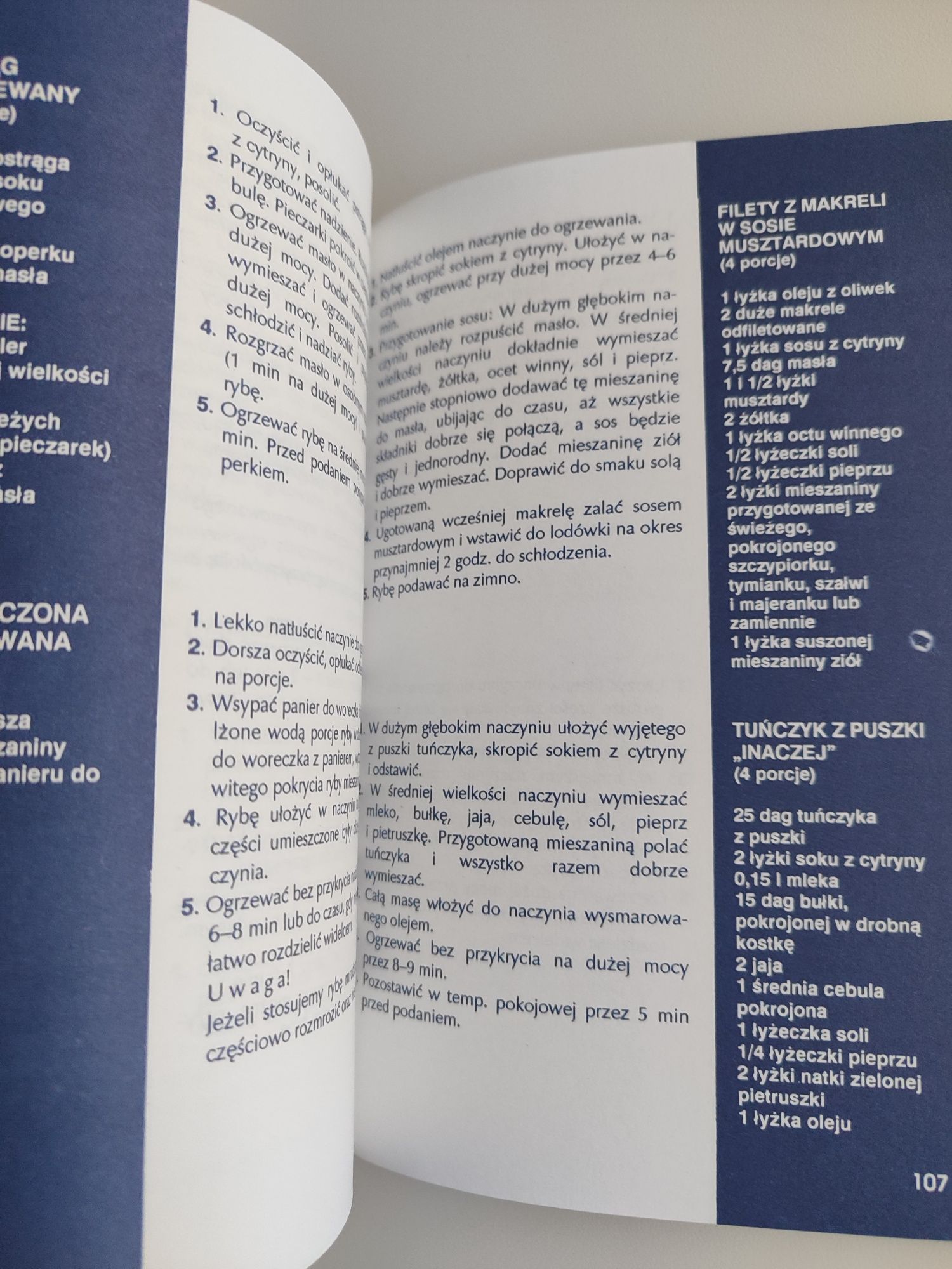 Kuchenka mikrofalowa J. Korczak, J. Pikul Wyd. Rolnicze i Leśne 1991