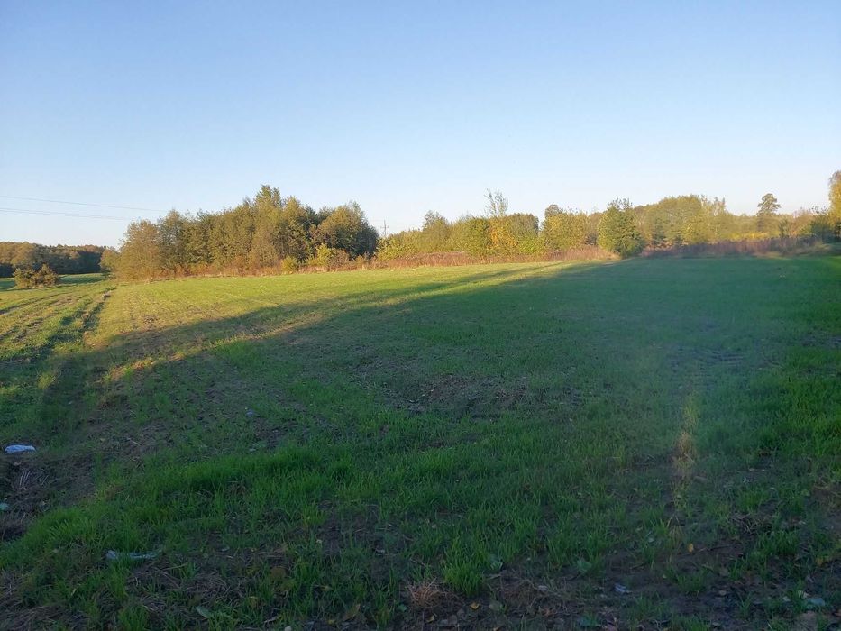 Sprzedam działkę rolno – budowalną położoną w Janowie w gm. Skaryszew