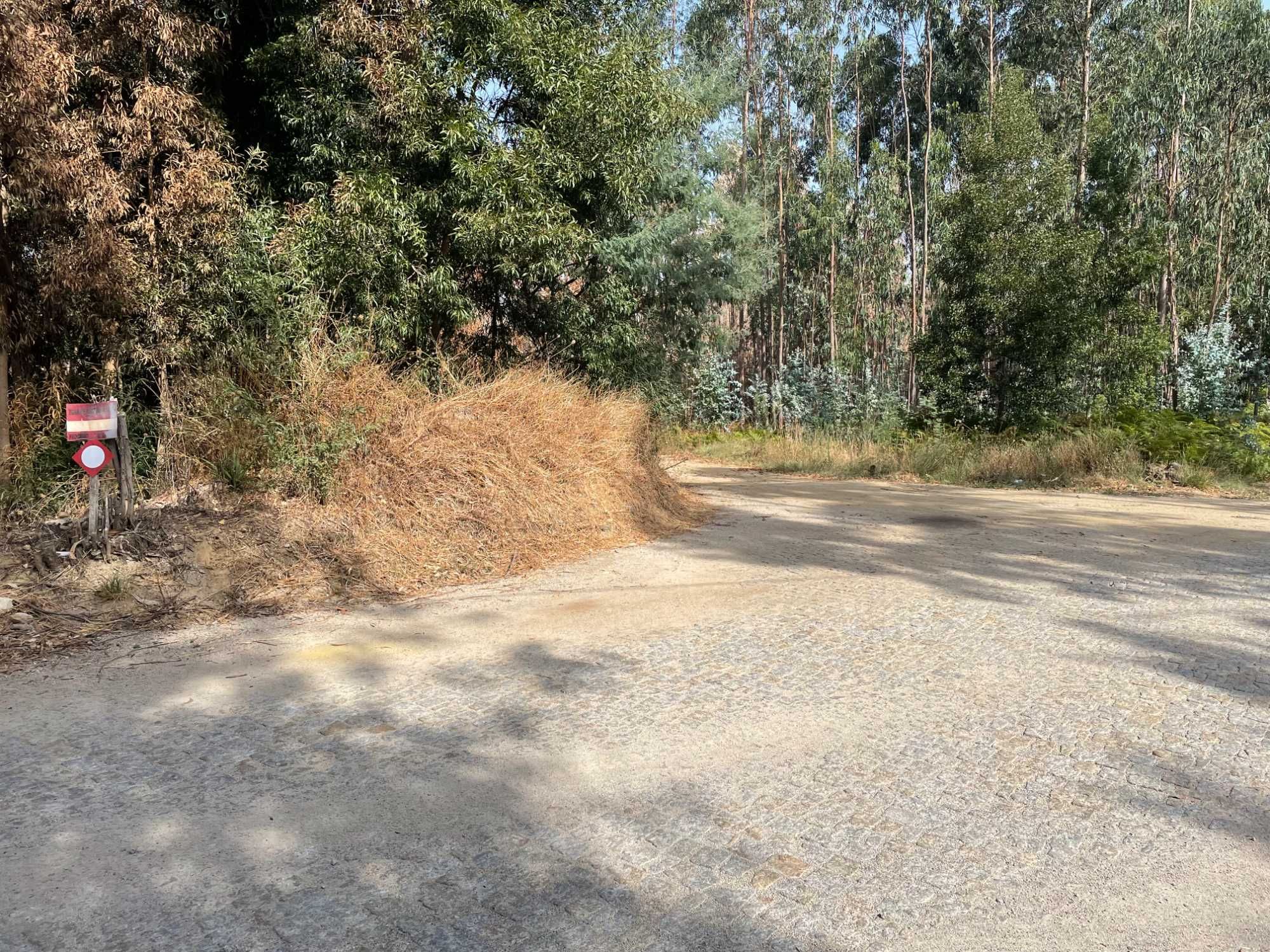 Terreno Rustico com 2000mt