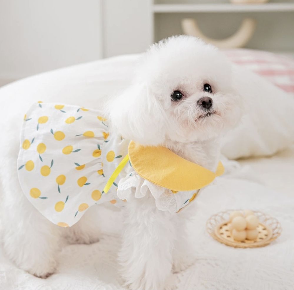Плаття для собак із принтом лимон S