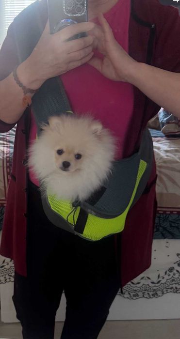 Сумка переноска для котика чи маленької собачки