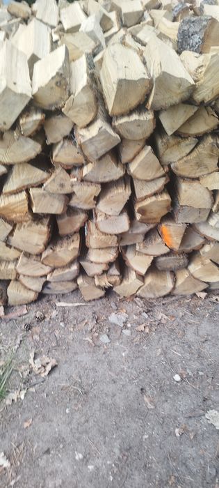 Drewno opałowe kominkowe