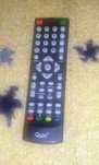 Pilot do marki Quer