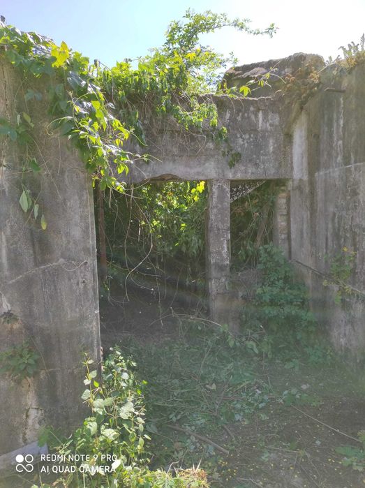 Limpeza terrenos