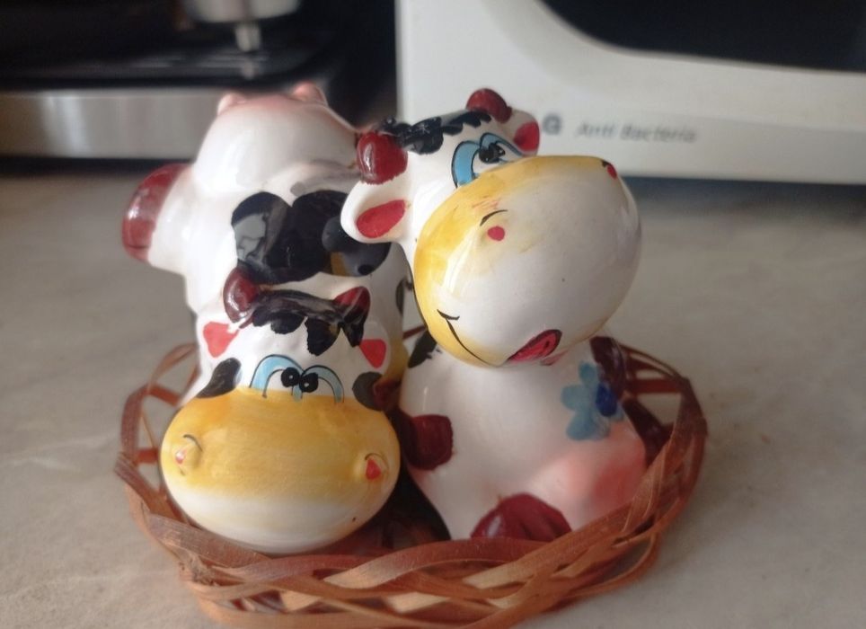 Набор: солонка и перечница