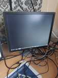 Monitor DELL P1914 display port, pivot