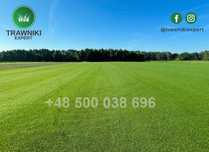 Trawa z rolki, trawnik z rolki - PRODUCENT - Plantacja Gorzów Wlkp.