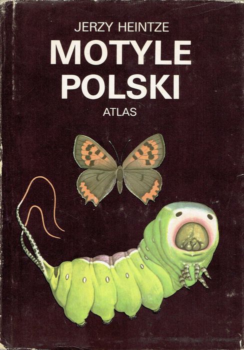 Motyle Polski. Atlas. Cz. 1 Jerzy Heintze