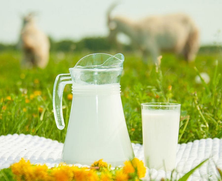 Продам козяче молоко дуже корисне і смачне