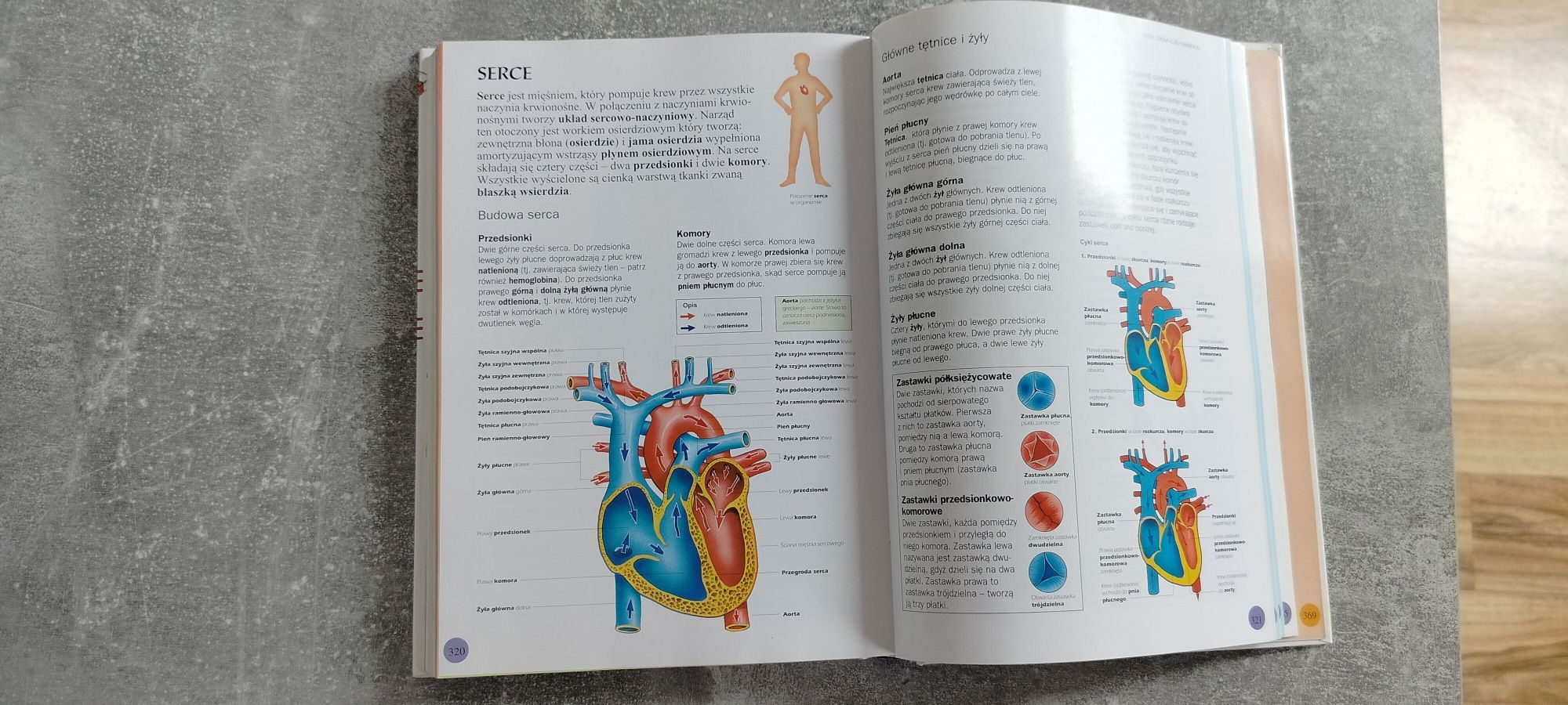 Ilustrowany słownik nauki fizyka, chemia, biologia