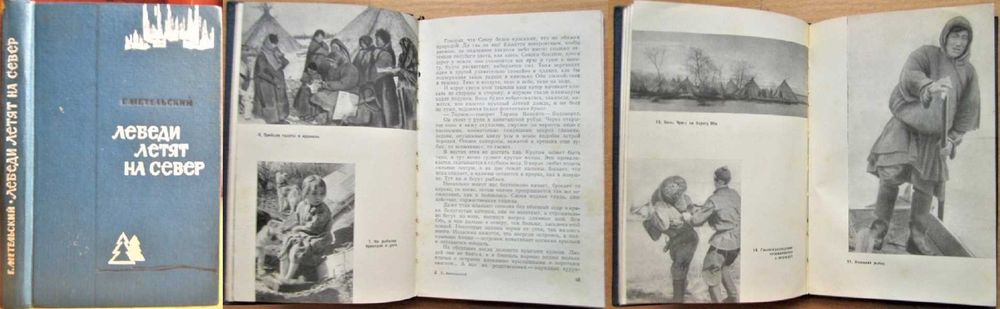 Файнберг Кнут Расмуссен. Перри Мир белого медведя. Смуул Ледовая книга