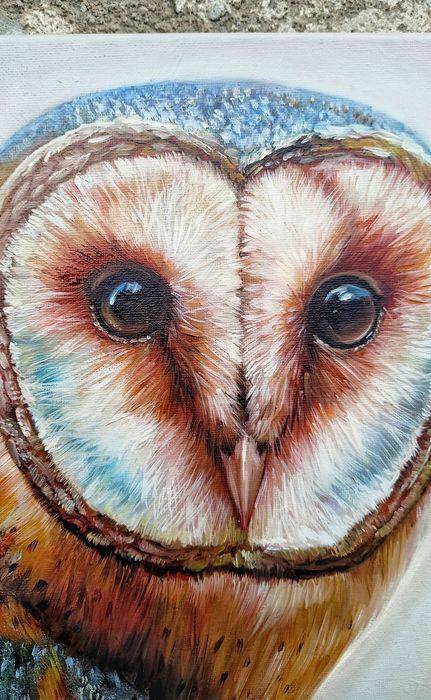 Płomykówka. Sowa. Obraz olejny, certyfikat. Cena -50% tylko do 7.12