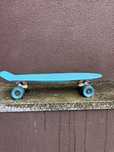 Deska fish skateboards