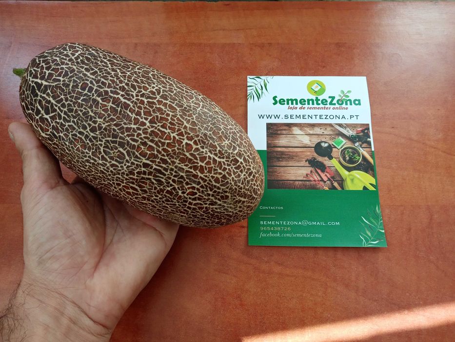 10 Sementes de Pepino Sikkim - Cucumis sikkimensis