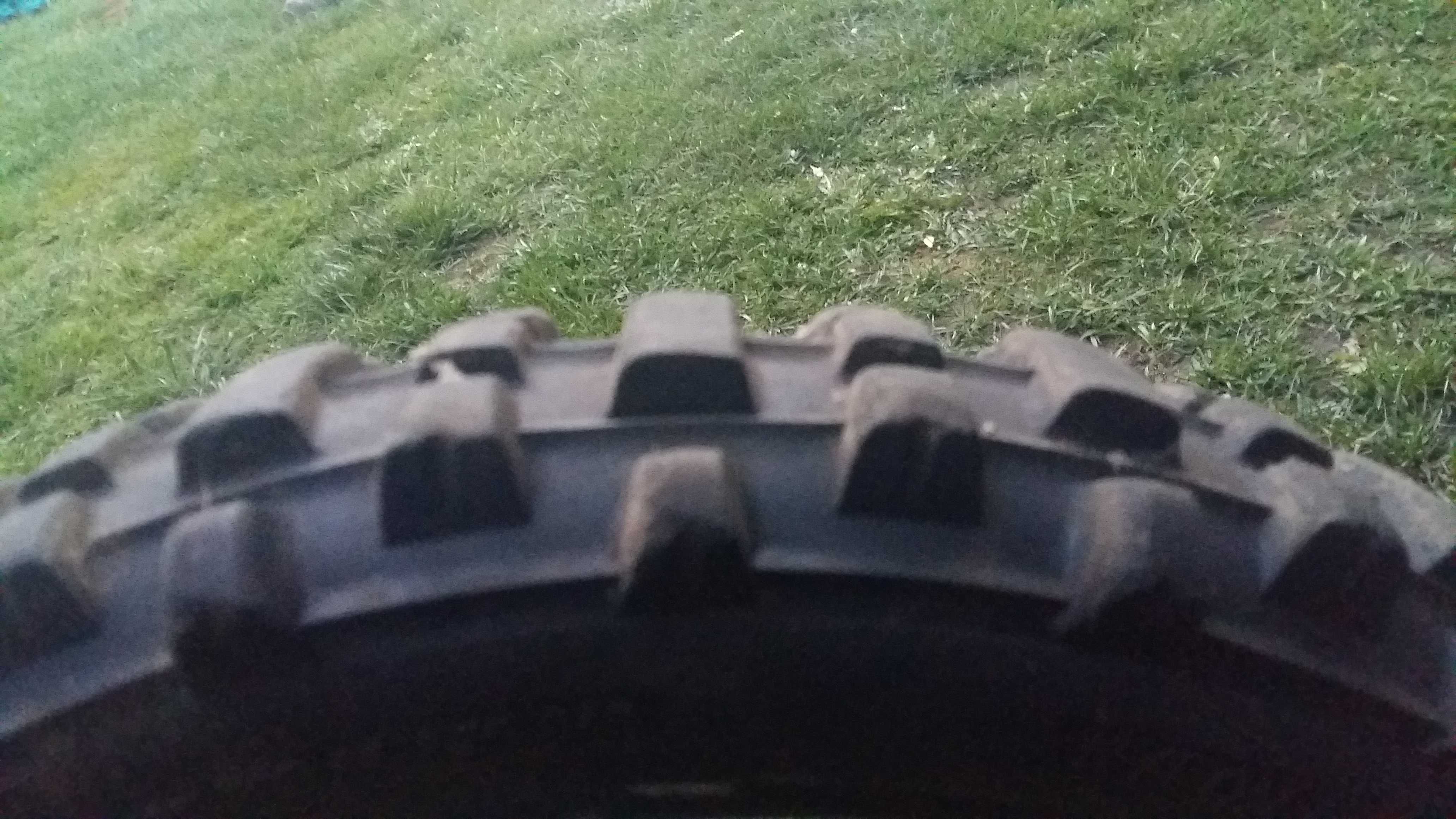 Opony pitbike 12