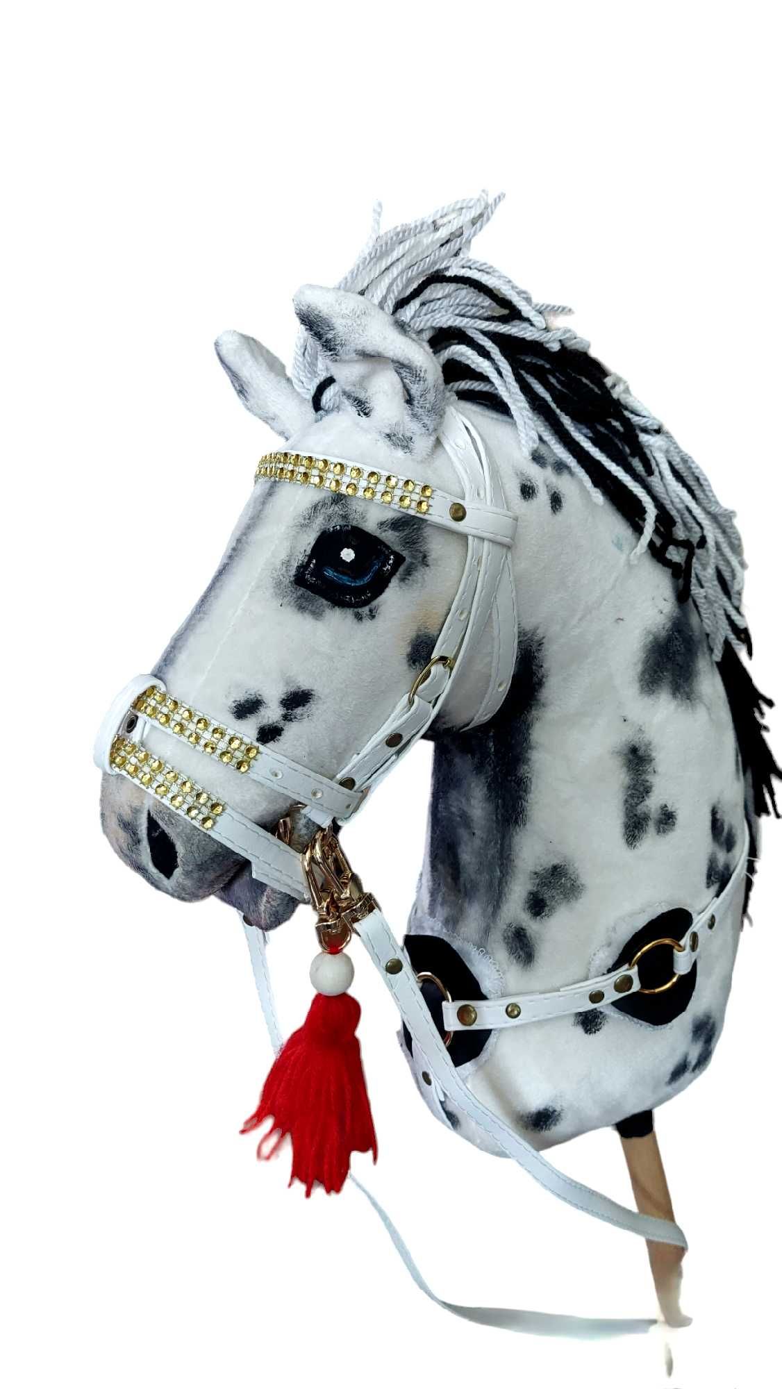 Zestaw(Hobby horse ,ogłowie,wodze,napierśnik)format a3 wersja Premium