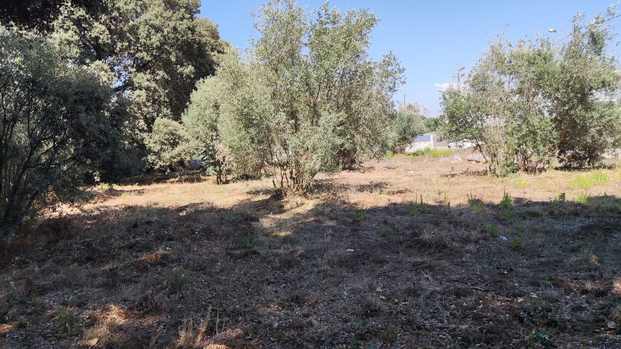 Terreno urbano para construção de moradia