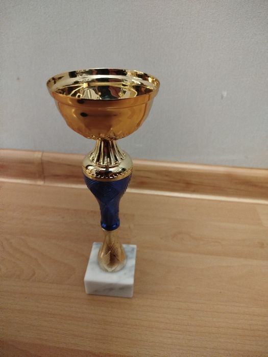 Mały puchar za osiągnięcia sportowe