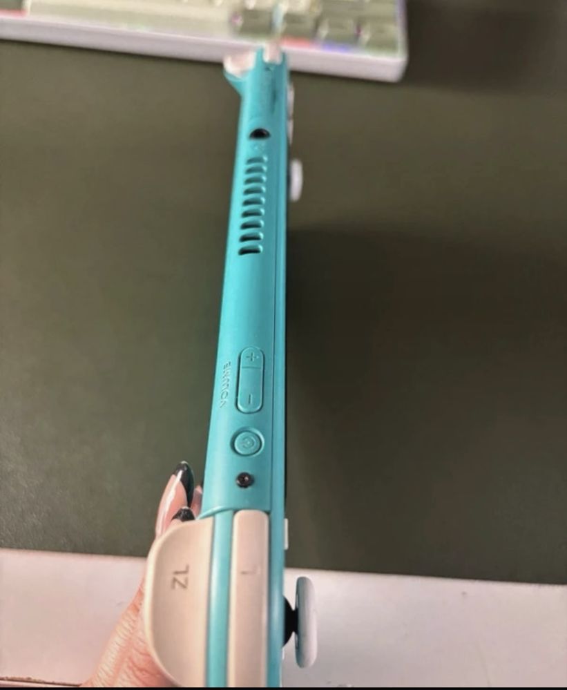 Nintendo switch lite