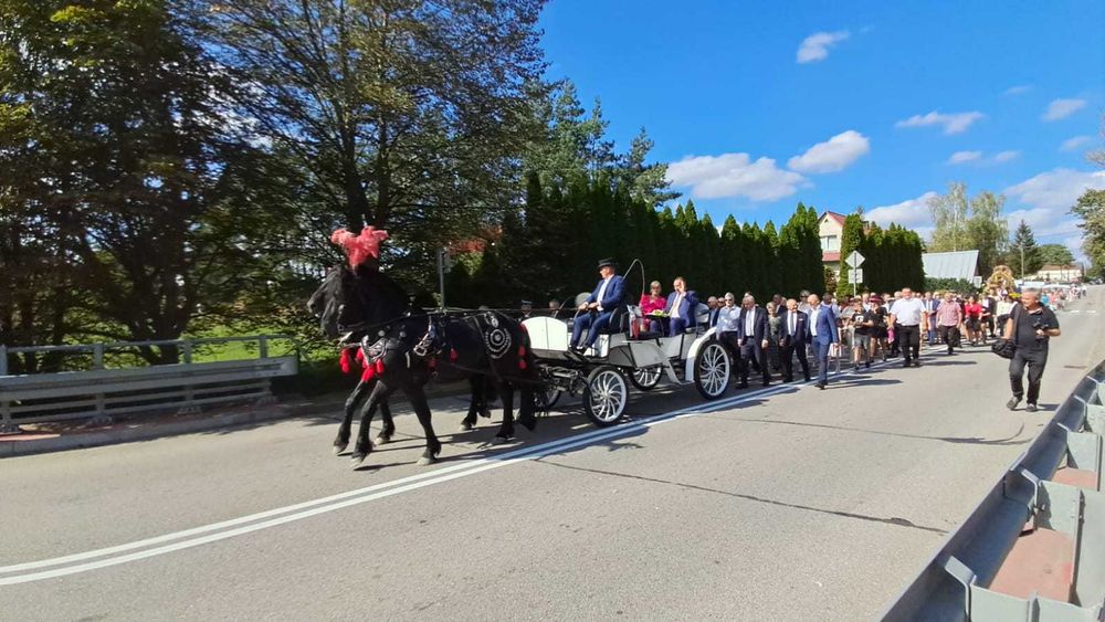 Dwa ogiery pół fryzyjskie 6lat