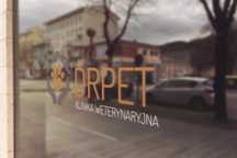 Grafik komputerowy, projekty graficzne