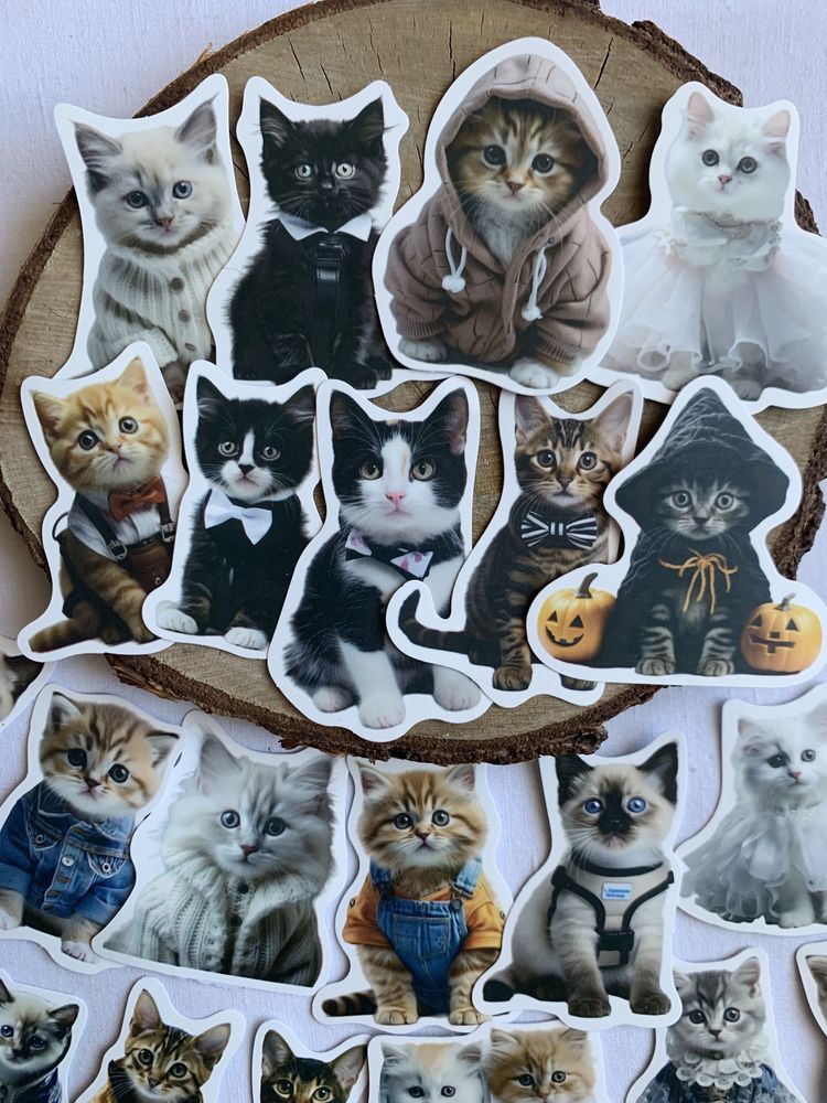 Zestaw naklejek do scrapbookingu Małe Śmieszne Kotki, 50 sztuk
