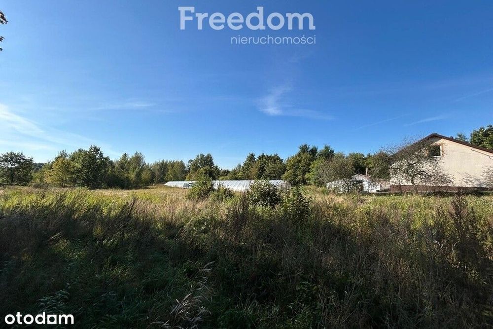 Działki w miejscowości Zakole-Wiktorowo