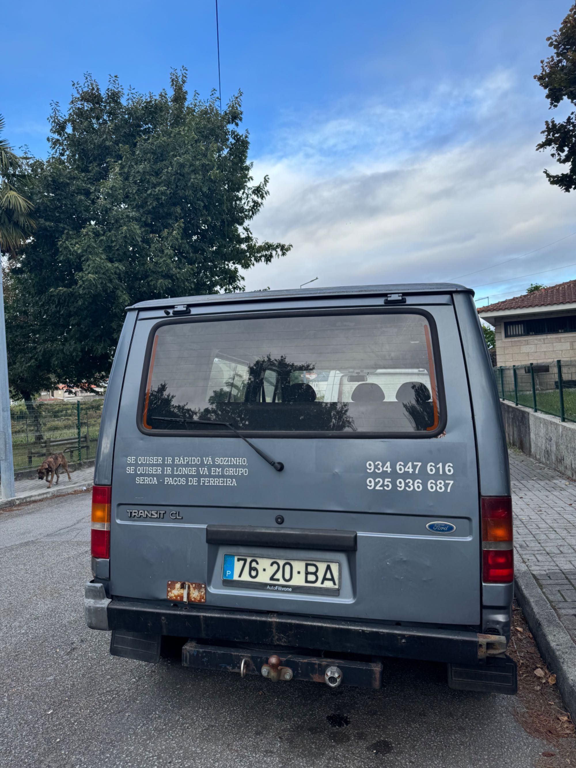 Ford Transit 120 van (tn-3)