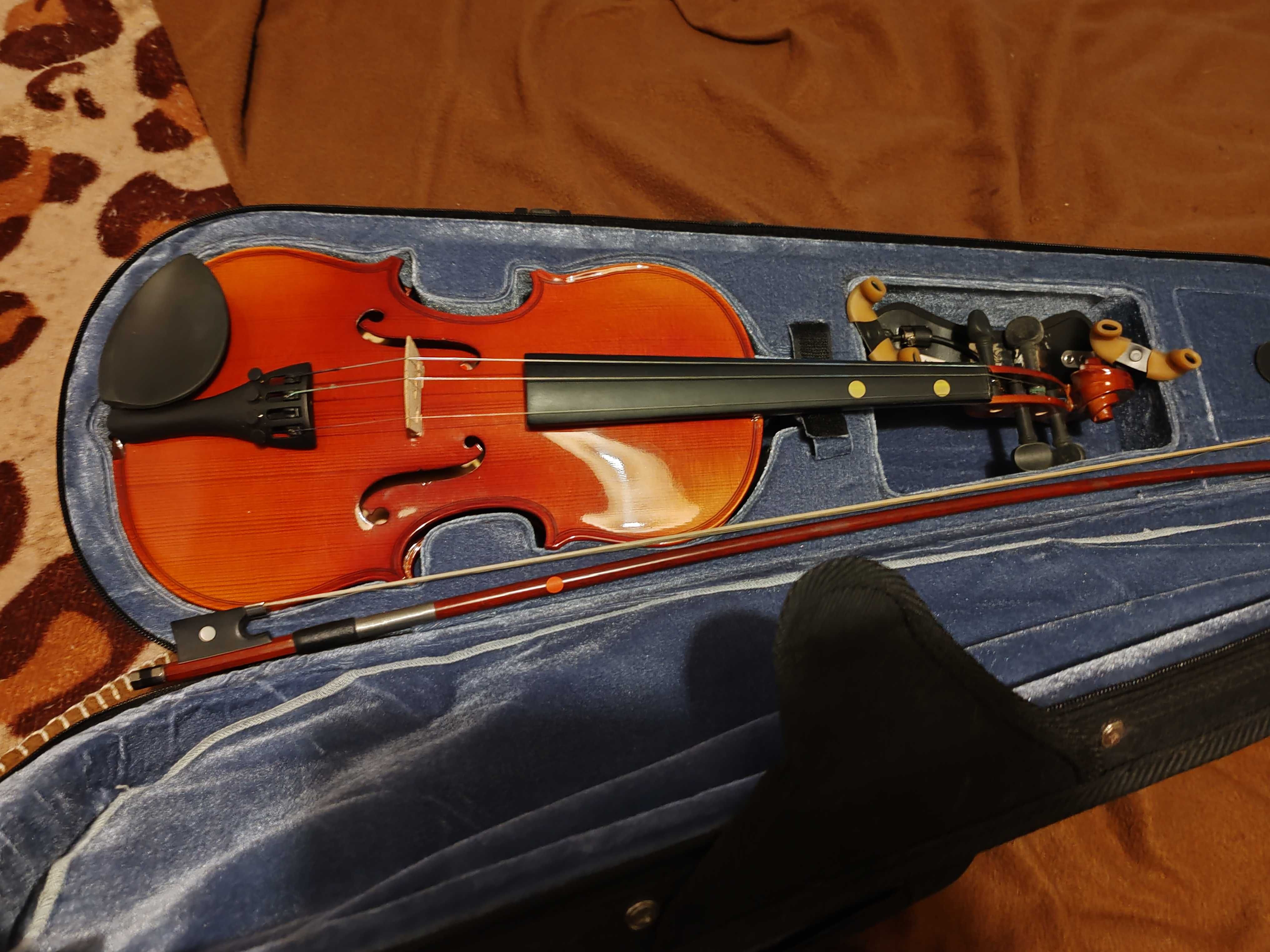 Violino com estojo
